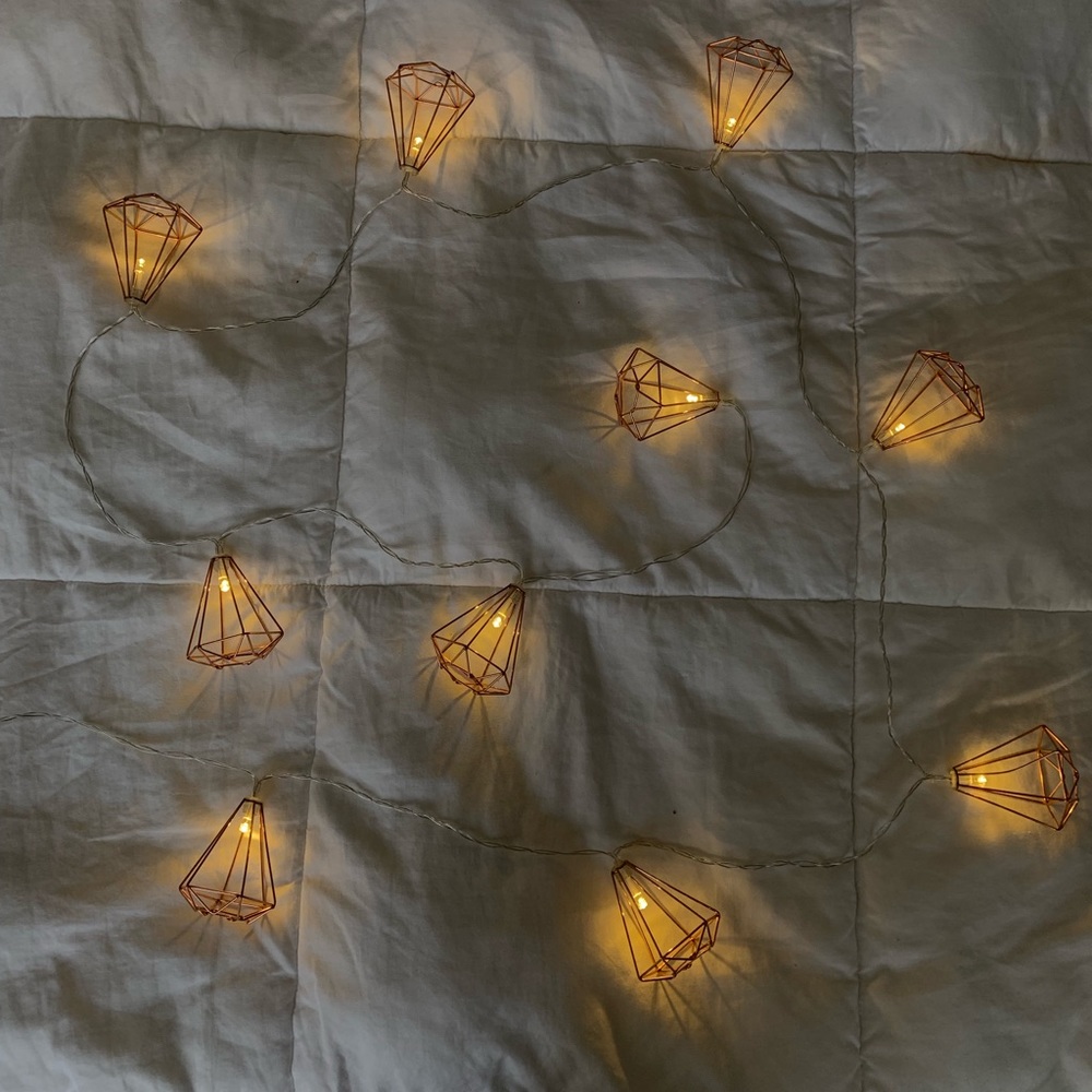 Rose Gold Lightbulb String Lights